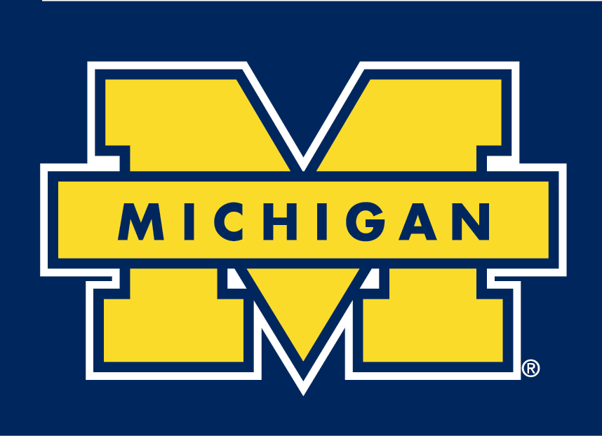 Michigan Wolverines 1996-Pres Secondary Logo v2 iron on transfers for clothing